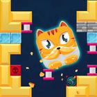 Falling Cat icon