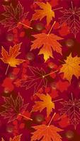 Fall & Halloween Wallpapers HD Free Megapack 截图 1