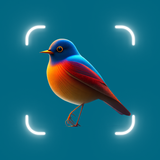 Identify Birds,Bird Identifier aplikacja