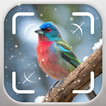 Bird Identifier: Birding आइकन