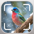 Bird Identifier: Birding APK