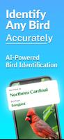Bird Identifier Poster