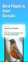 Bird Identifier captura de pantalla 2