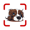 Dog Breed Identifier: Dog Scanner, Mixed Breeds