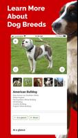 Dog Breed Identifier تصوير الشاشة 3