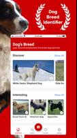 Dog Breed Identifier Affiche