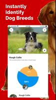 Dog Breed Identifier screenshot 1