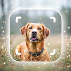 Dog Breed Identifier icon