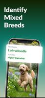 Dog Breed Identifier screenshot 1