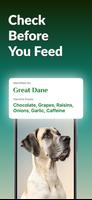 Dog Breed Identifier screenshot 2