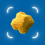 Identify Anything icon