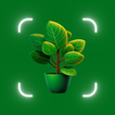 Plant Identifier, Plant Id