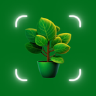 Plant Identifier, Plant Id icon