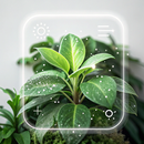 Plant Identifier: Plant Care APK