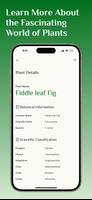 Plant Identifier, Plant Id imagem de tela 3