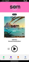 SAM Ibiza اسکرین شاٹ 1