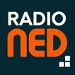 radio NED 图标