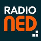 radio NED icon