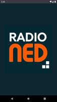 radio NED poster