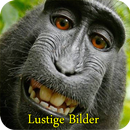 lustige bilder APK