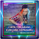 DJ Cinta Terlarang Kepadamu Viral FULL Bas Offline aplikacja