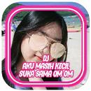 DJ AKU MASIH KECIL SUKA SAMA OM OM OFFLINE + Bonus APK
