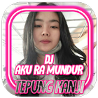 DJ Aku Ra Mundur Tepung Kanji Remix Bass Offline ikona