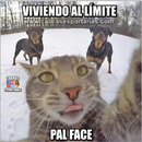 Imágenes graciosas 2019 APK