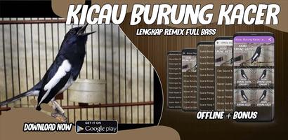 Kicau Burung Kacer Lengkap Remix Full Bass Offline پوسٹر