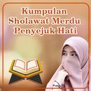 Sholawat Merdu Penyejuk Hati-APK