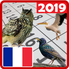 Meilleur calendrier France 2019 avec des oiseaux आइकन