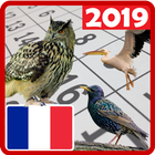 Meilleur calendrier France 2019 avec des oiseaux Zeichen