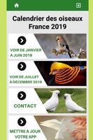 Meilleur calendrier France 2019 avec des oiseaux पोस्टर