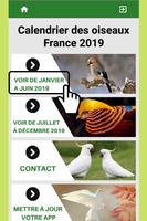 Meilleur calendrier France 2019 avec des oiseaux تصوير الشاشة 2