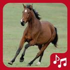 Horse Sounds. beautiful neighs icon