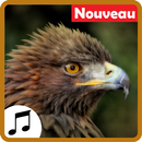Sons d'aigles pour téléphone APK