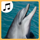 Sea Animal Sounds. APK