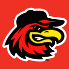 آیکون‌ Red Wings Rewards