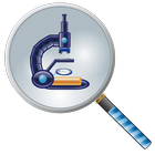 Magnifying glass & Magnifier & آئیکن