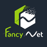 Fancy Net