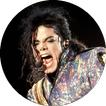 Michael Jackson Fan Club: musi
