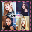 Guess BLACKPINK Member Game