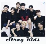 STRAY KIDS: Matching Game أيقونة