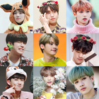 STRAY KIDS Puzzle Game icône