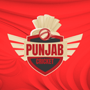 Punjab T20 Cricket Fan App APK