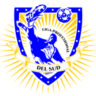 Liga del Sud-icoon