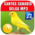 Cantos Canario Belga 2020