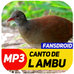 Canto De Lambu Completo