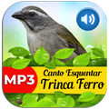 Canto Esquentar Trinca Ferro