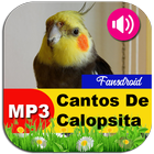 Canto De Calopsita 圖標